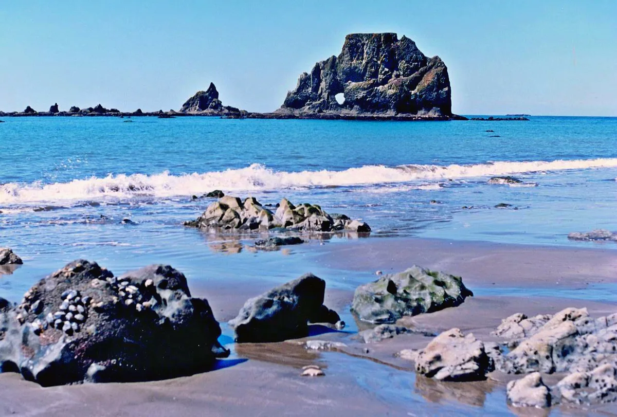 Playa de Toleak Point, Jefferson County, Pacific Northwest, Estados Unidos