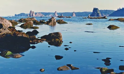 Playa de Toleak Point, Jefferson County, Pacific Northwest, Estados Unidos — 5