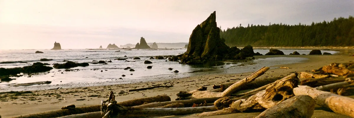 Playa de Toleak Point, Jefferson County, Pacific Northwest, Estados Unidos — 2