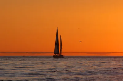 Hammond's Beach