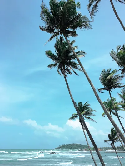 Coconut Rock Beach