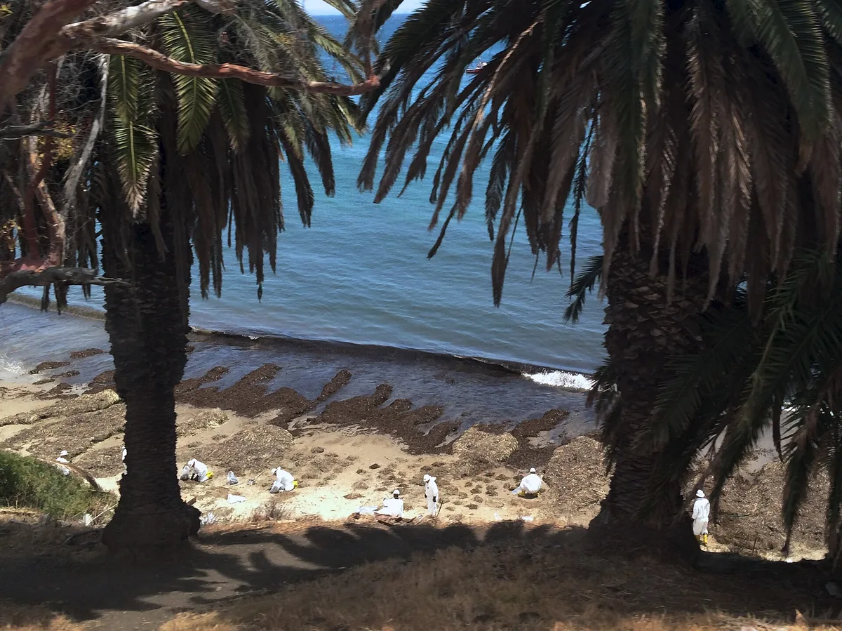 Refugio State-Strand, Santa Barbara County (unincorporated), California Coast, Vereinigte Staaten — 3