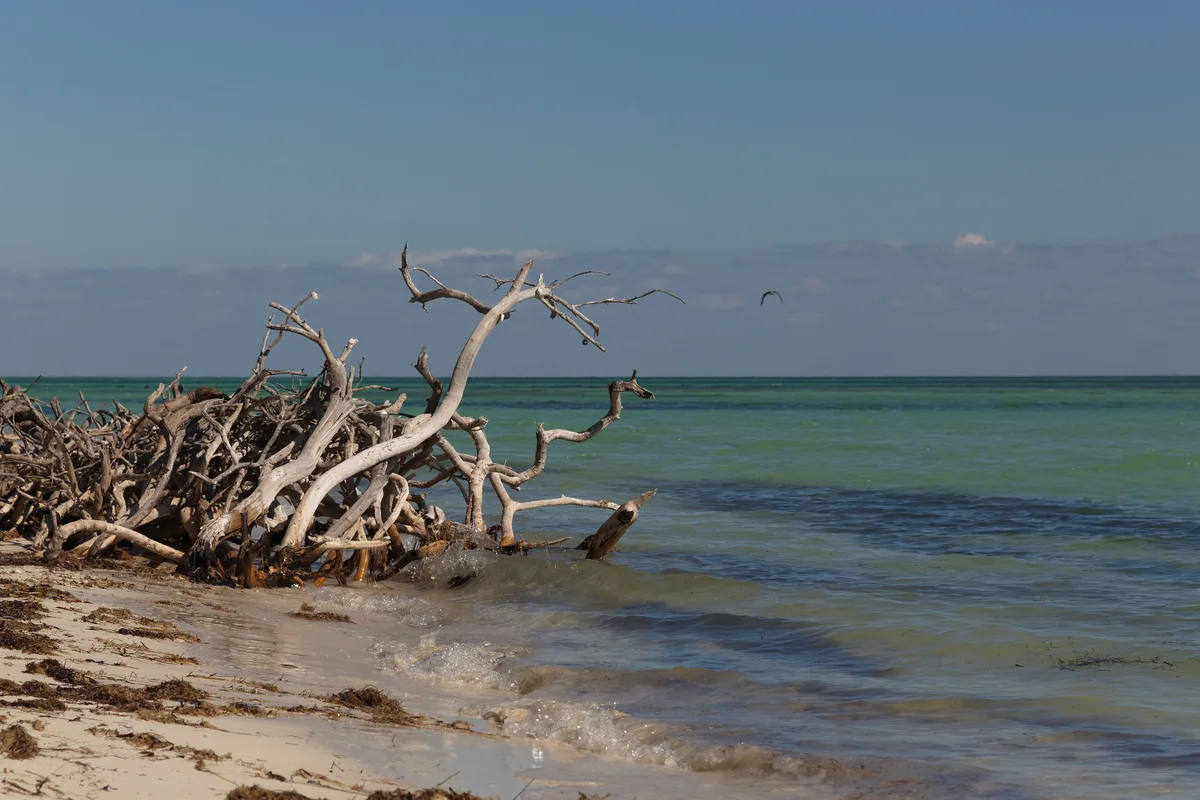 Plage de Bahia Honda State Park, Monroe County, Florida Keys, États-Unis — 5