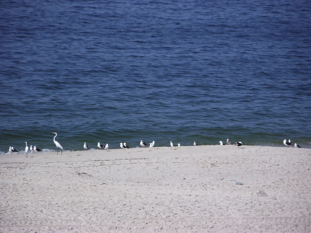 Plage de Piratininga, Niterói, Brazilian Atlantic, Brésil — 2