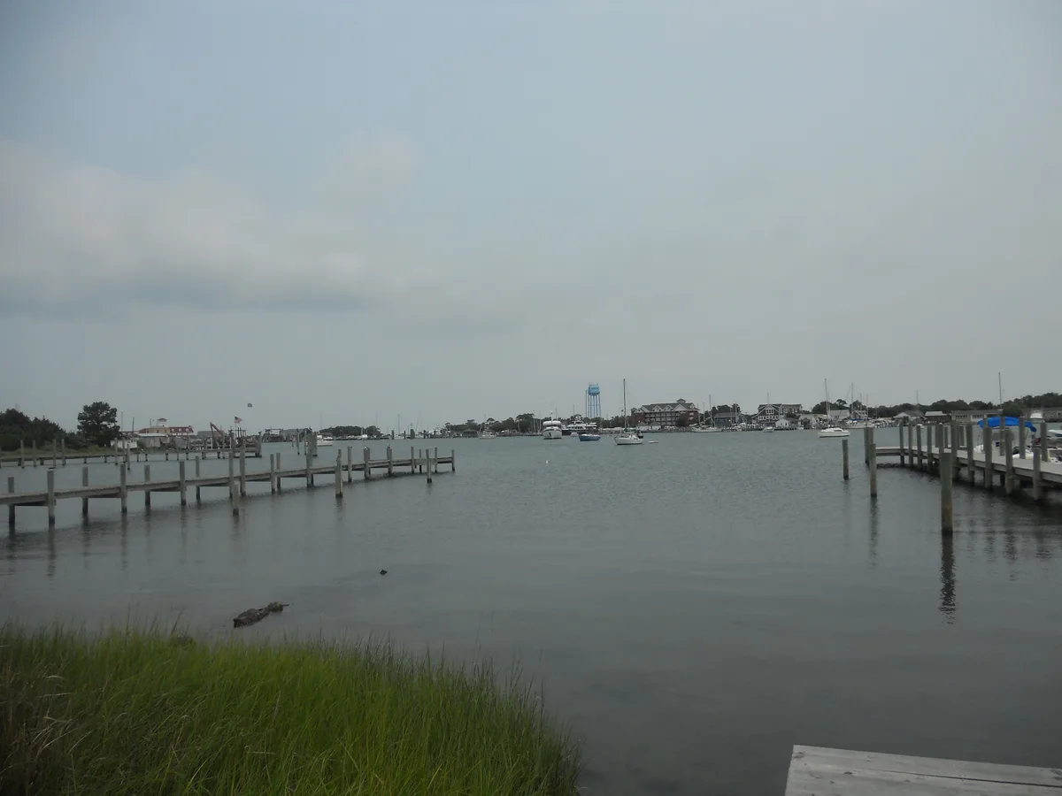 Springer's Point Beach, Hyde County, US East Coast, United States — 4