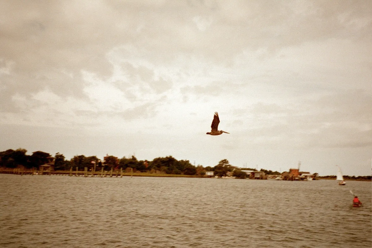 Springer's Point Beach, Hyde County, US East Coast, United States — 3