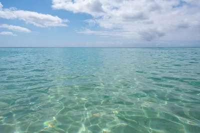 Waimea Bay Beach Park