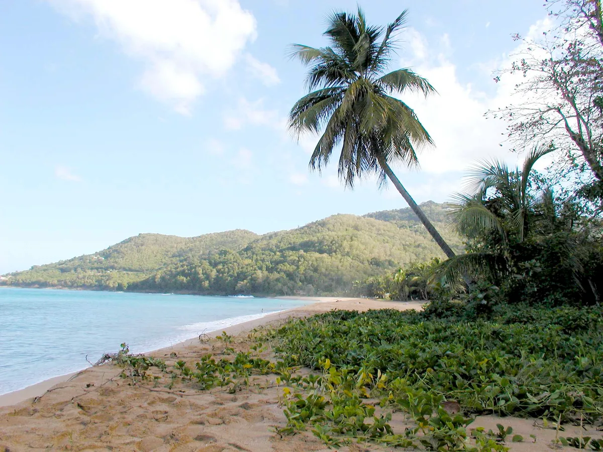 Grande Anse de Deshaies Beach, Deshaies, French Antilles, Guadeloupe — 3
