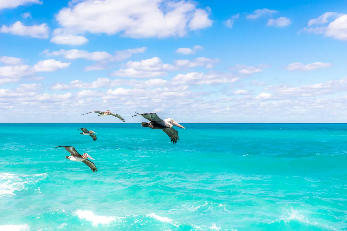 Pelican Cove Beach, Christiansted, Virgin Islands, U.S. Virgin Islands