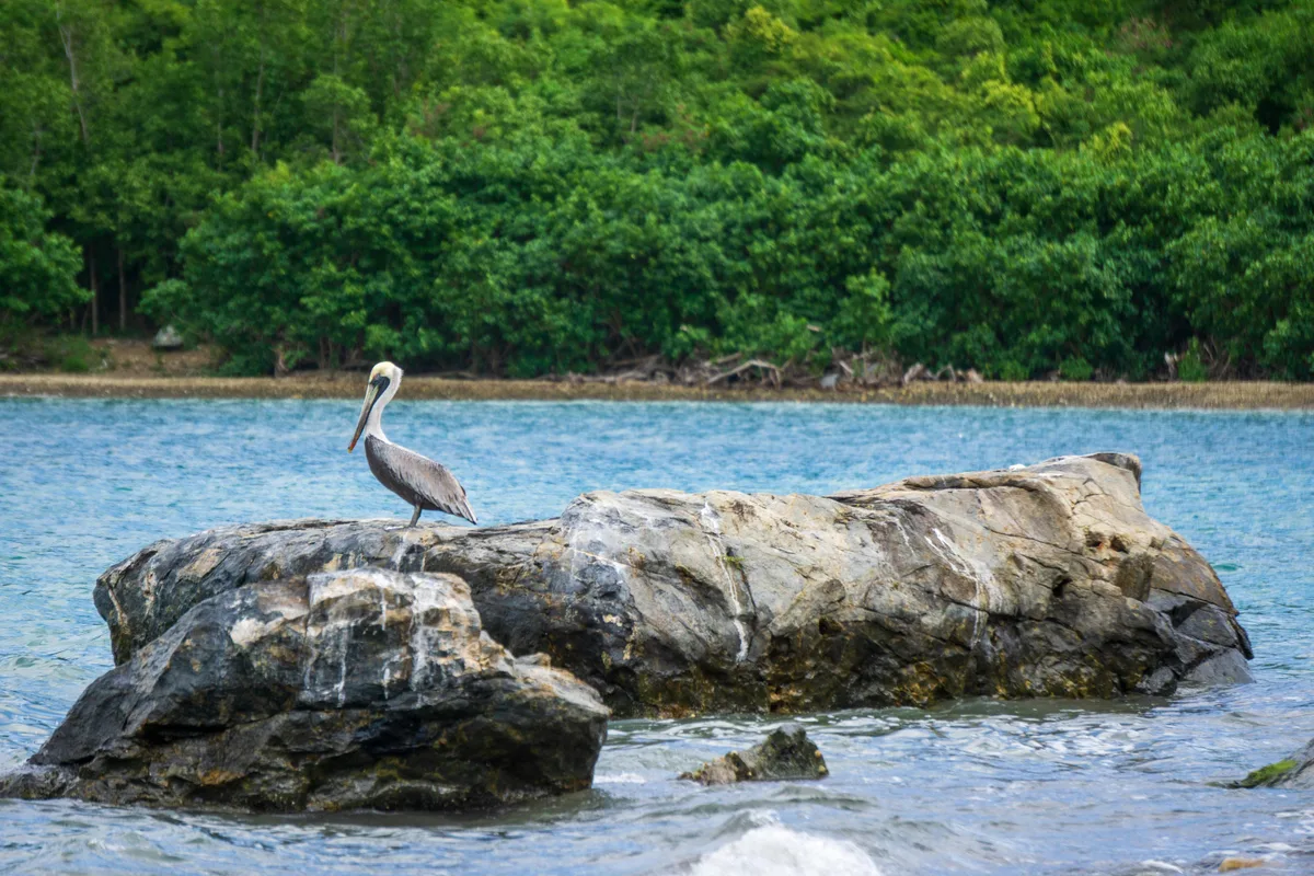 Pelican Cove Beach, Christiansted, Virgin Islands, U.S. Virgin Islands — 4