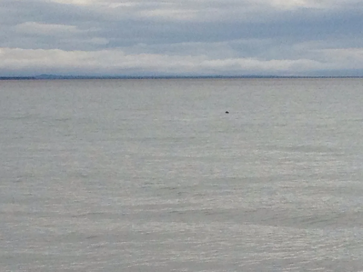 Praia de Nikiski, Nikiski, Alaska, Estados Unidos — 3
