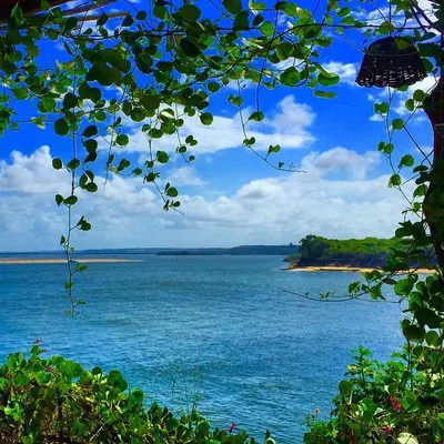 Guaraíras Beach, Tibau do Sul, Northeast Brazil, Brazil — 2