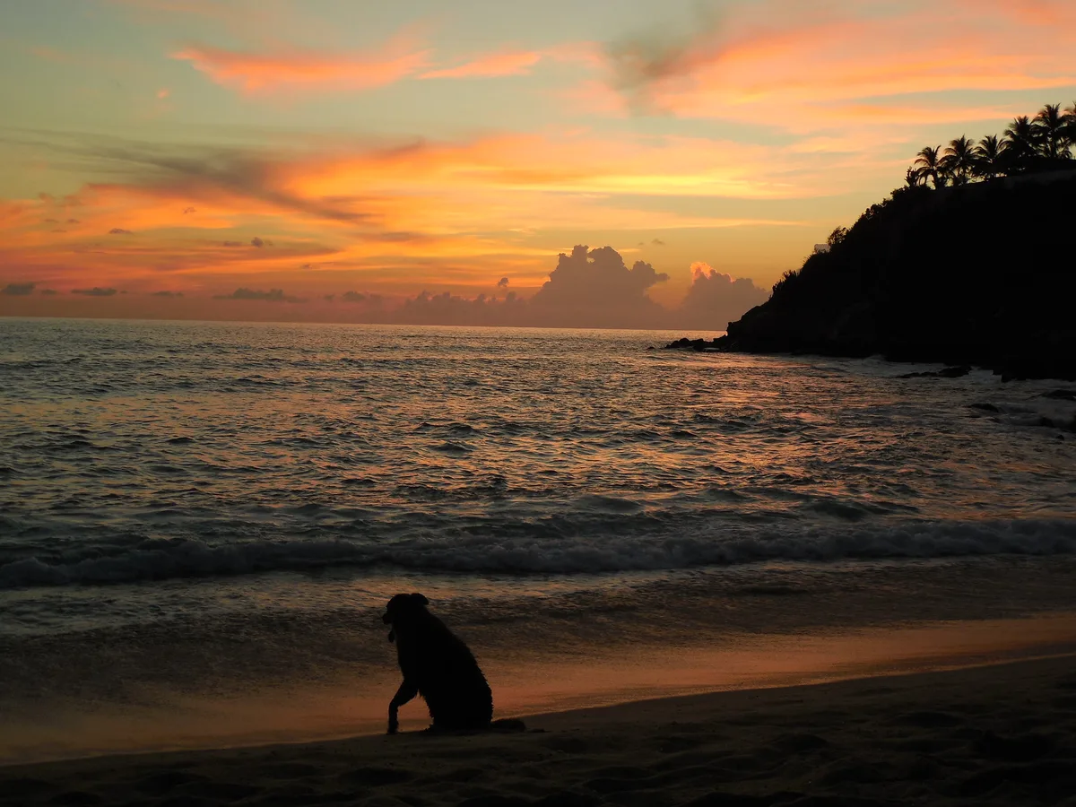 Carrizalillo Beach, Puerto Escondido, Mexican Pacific, Mexico