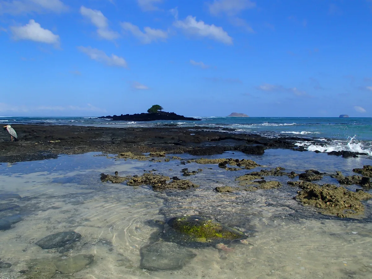 Playa Las Bachas, Puerto Ayora, Galápagos, Ecuador — 2