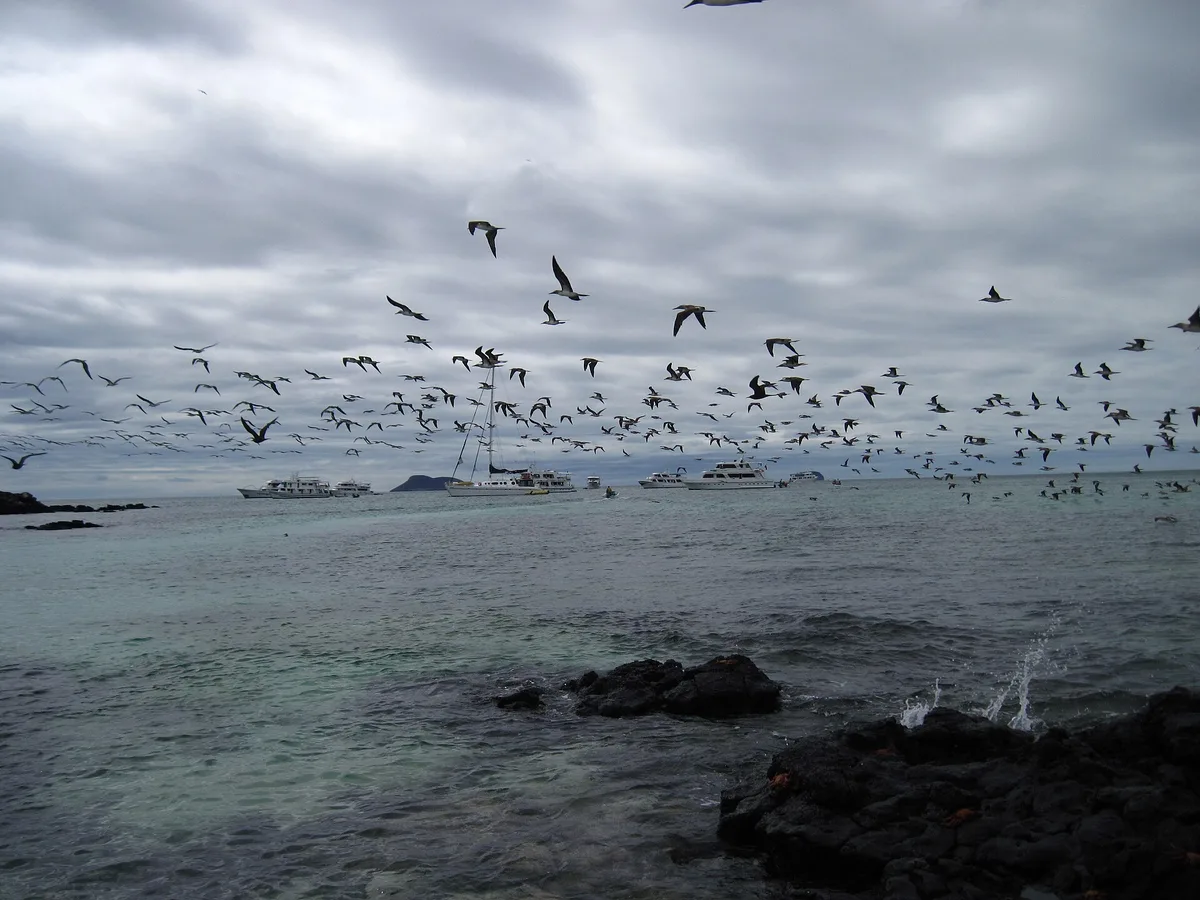 Playa Las Bachas, Puerto Ayora, Galápagos, Ecuador — 3