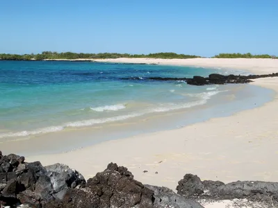 Plage de Las Bachas