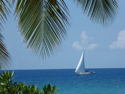 Hawksbill Beach, Saint John, Lesser Antilles, Antigua and Barbuda — 4