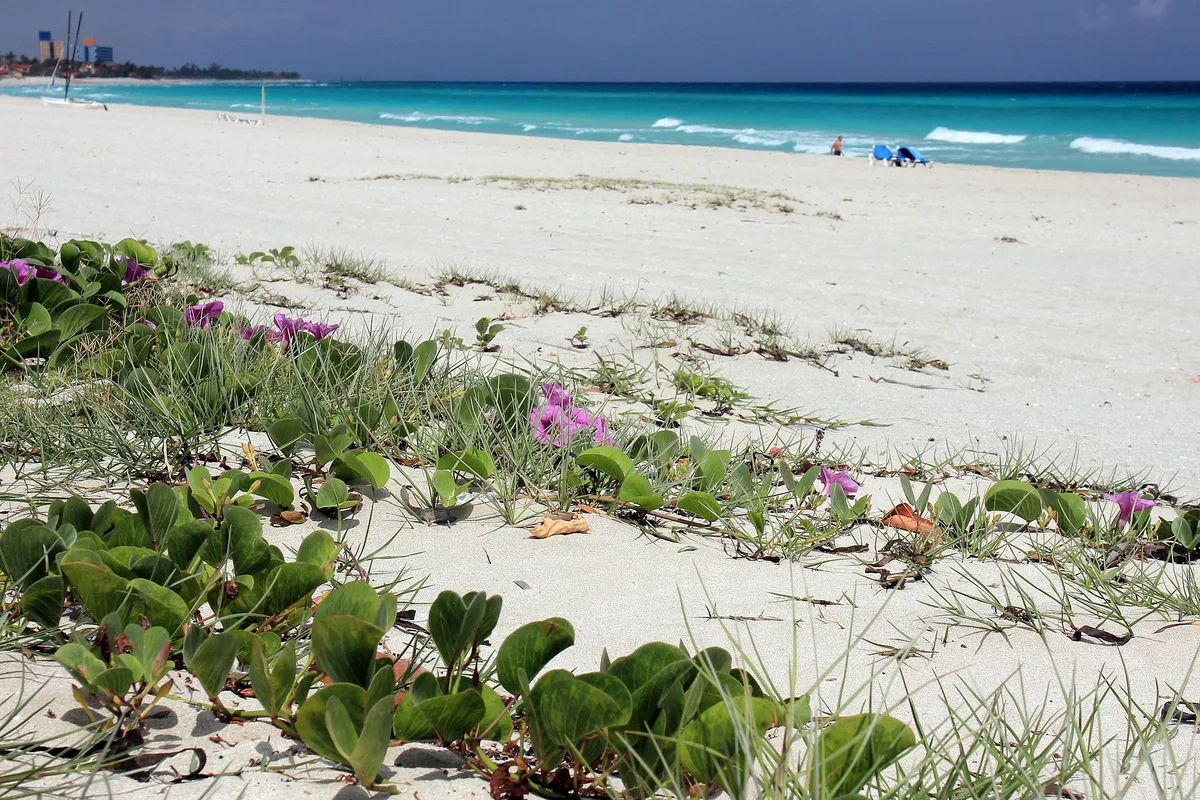 Playa Kawama, Cárdenas, Greater Antilles, Cuba