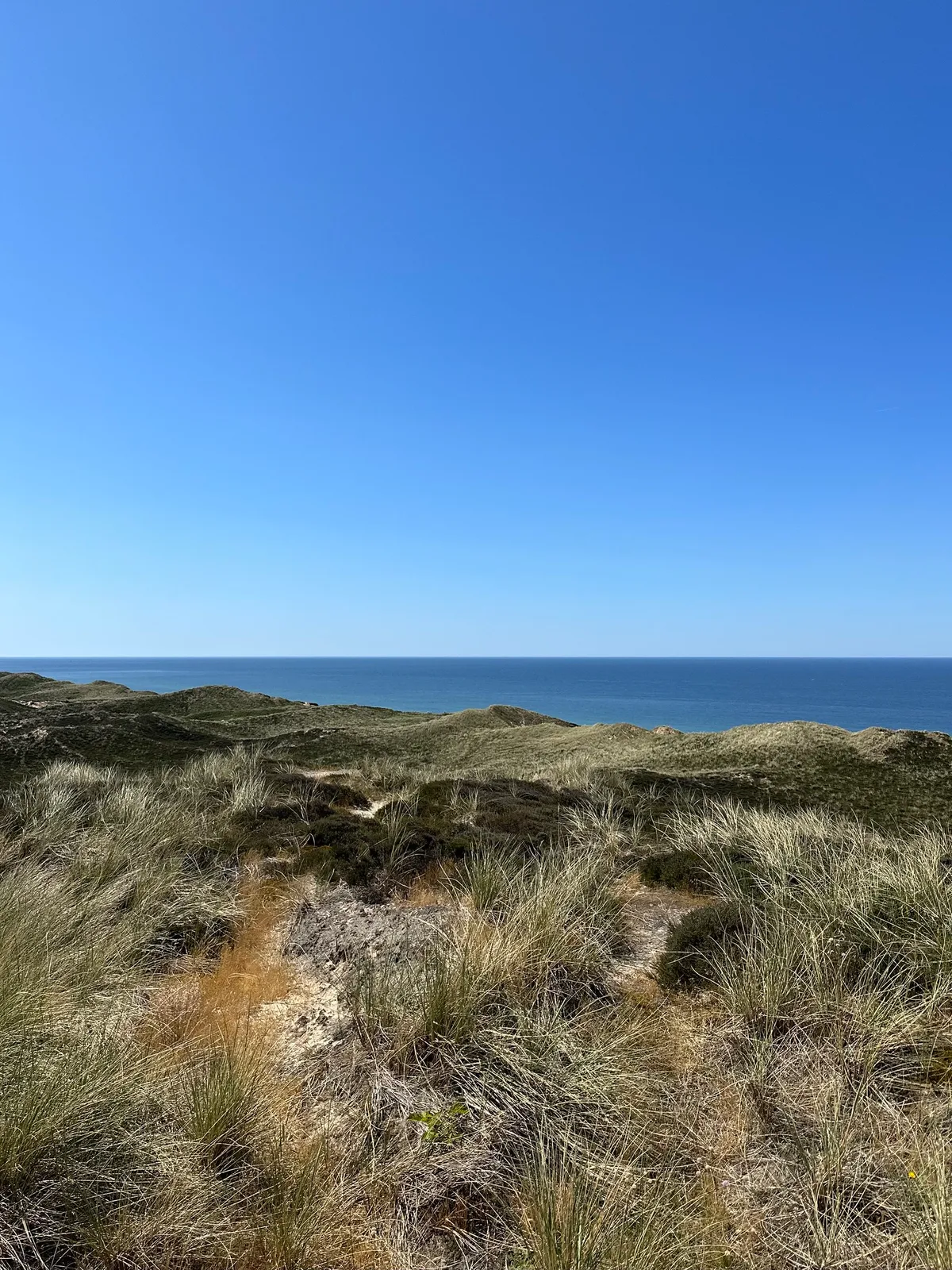 Kampen-List North Beach, List auf Sylt, North Sea, Germany — 4
