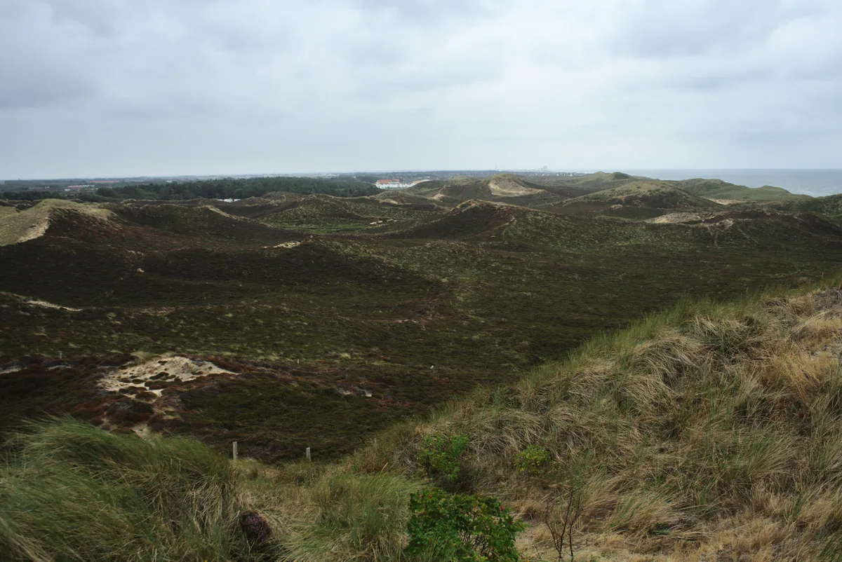 Kampen-List North Beach, List auf Sylt, North Sea, Germany — 5