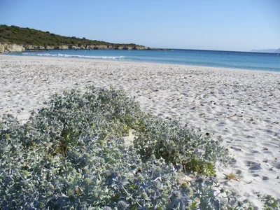 Loto Beach, Santo-Pietro-di-Tenda and Saint-Florent, Corsica, France — 2