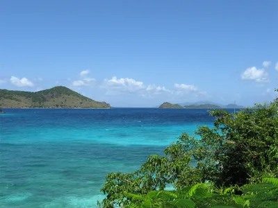 Pineapple Beach