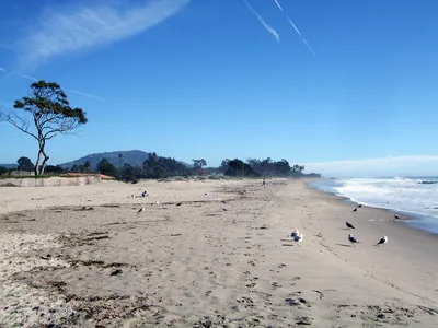 Carpinteria State Beach, Carpinteria, California Coast, États-Unis — 4