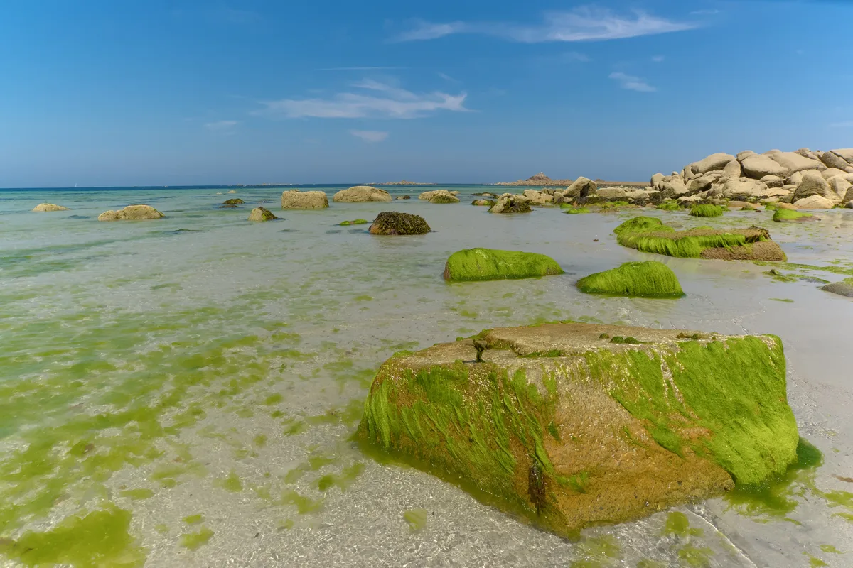 Trévou-Tréguignec-Strand, Trévou-Tréguignec, Brittany, Frankreich — 2