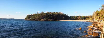 Shelly Beach