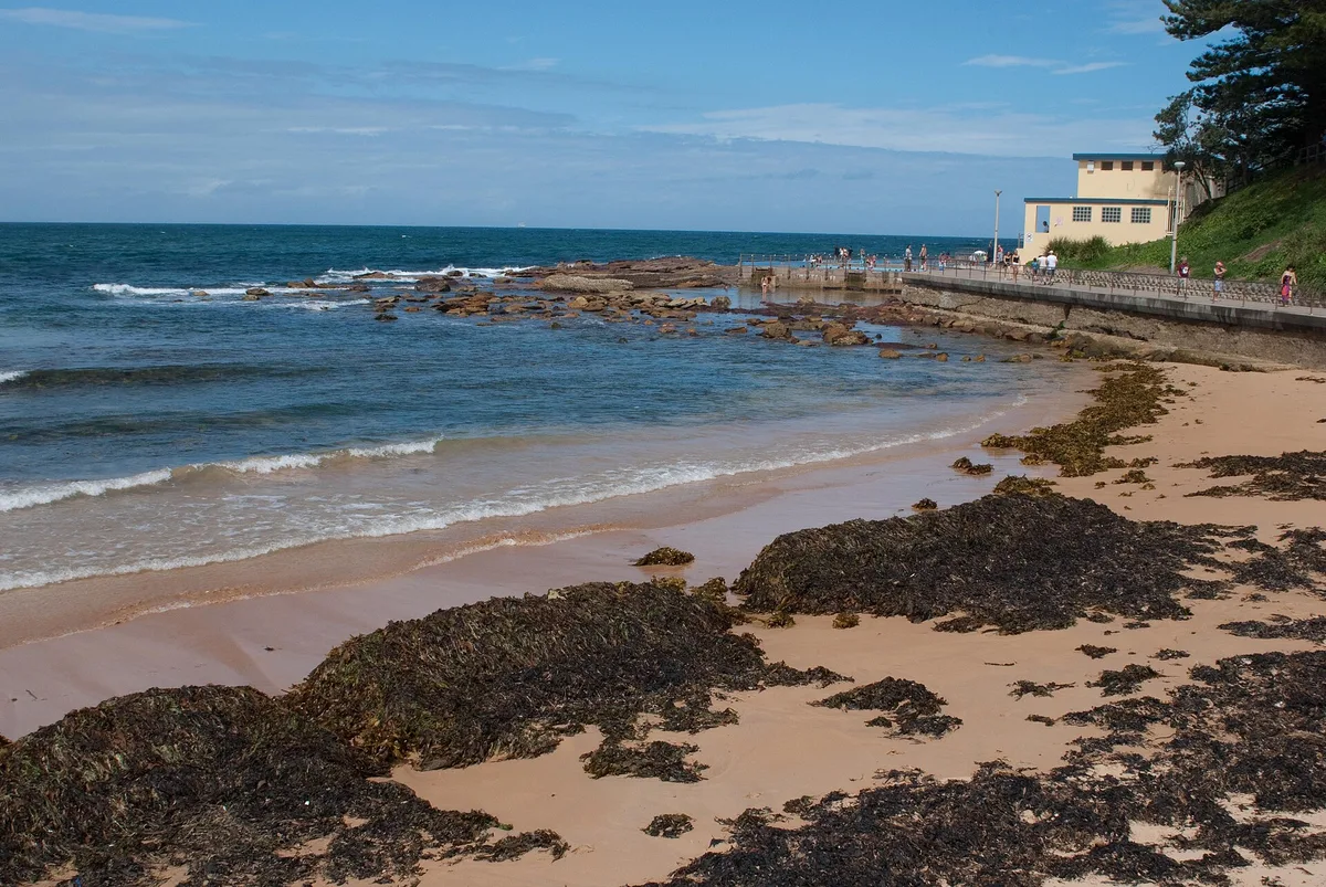 Dee Why Beach, Northern Beaches Council, New South Wales, Australie — 6