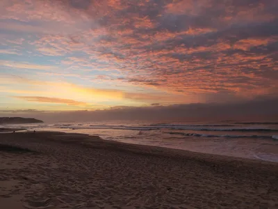 Dee Why Beach
