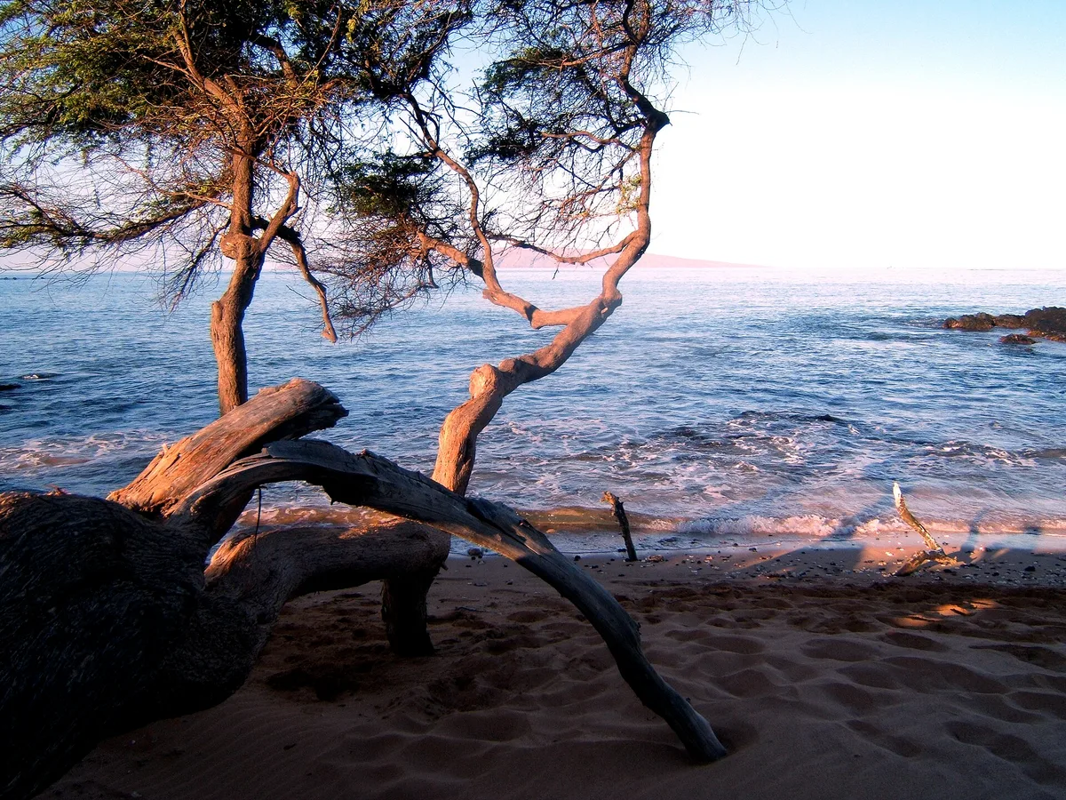 Plage de Wailea, Wailea, Hawaii, États-Unis — 6