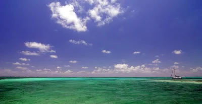 Palapa Bar Beach