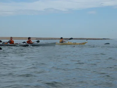 Pelican Point Beach, Walvis Bay, Erongo Region, Namibia — 2