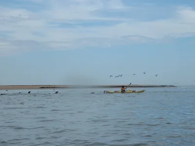 Pelican Point Beach, Walvis Bay, Erongo Region, Namibia — 3