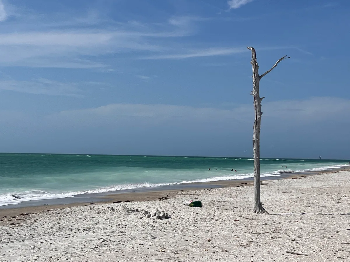 Egmont Key State Park Beach, Hillsborough County, Florida Gulf, United States — 4
