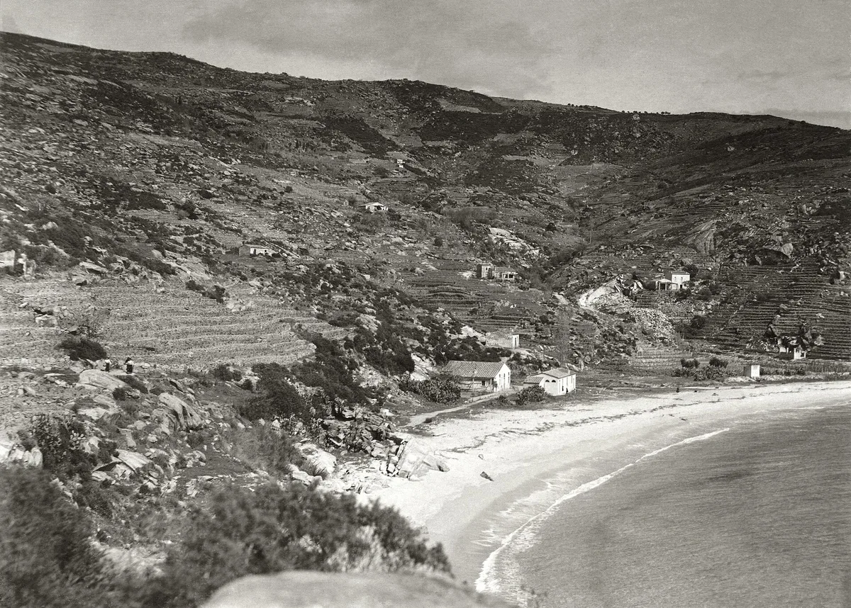 Plage de Cavoli, Campo nell'Elba, Tuscany, Italie — 5