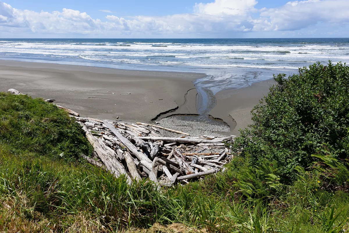Playas 1–4 (Kalaloch), Jefferson County, Pacific Northwest, Estados Unidos — 5