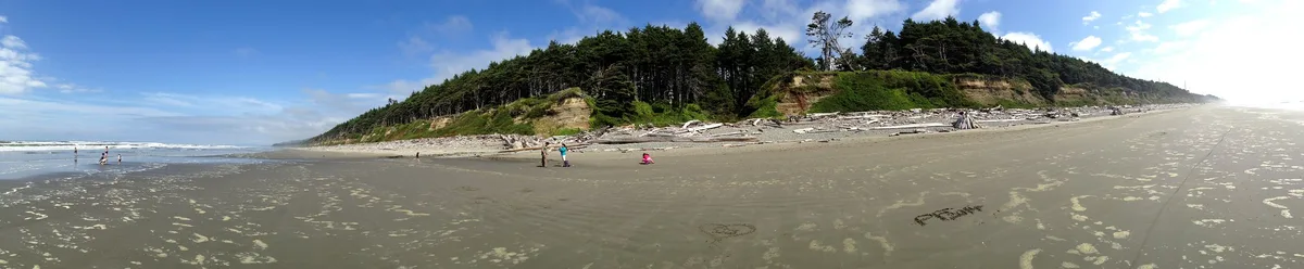 Playas 1–4 (Kalaloch), Jefferson County, Pacific Northwest, Estados Unidos — 2