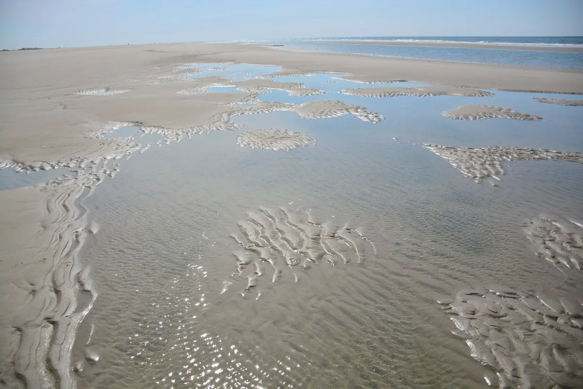 Strand Paal 15, Texel, North Holland, Nederland — 4
