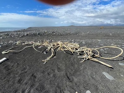 Sólheimasandur Beach