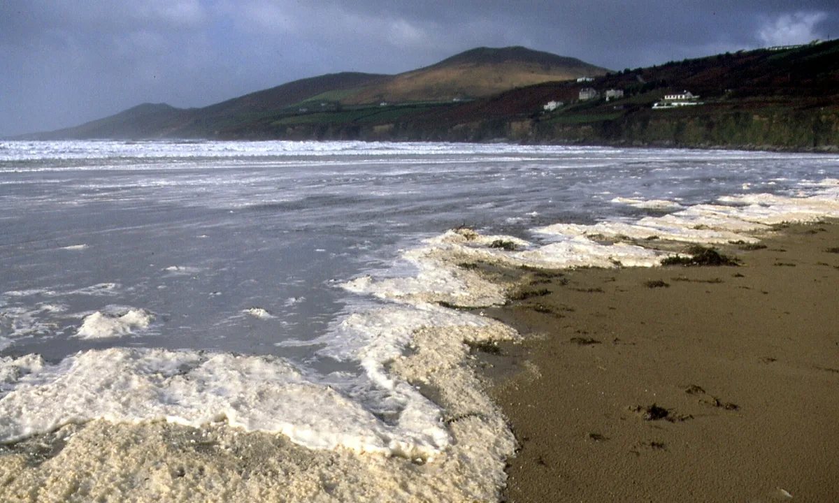 Inch-Strand, Inch, Irish Coast, Irland — 2