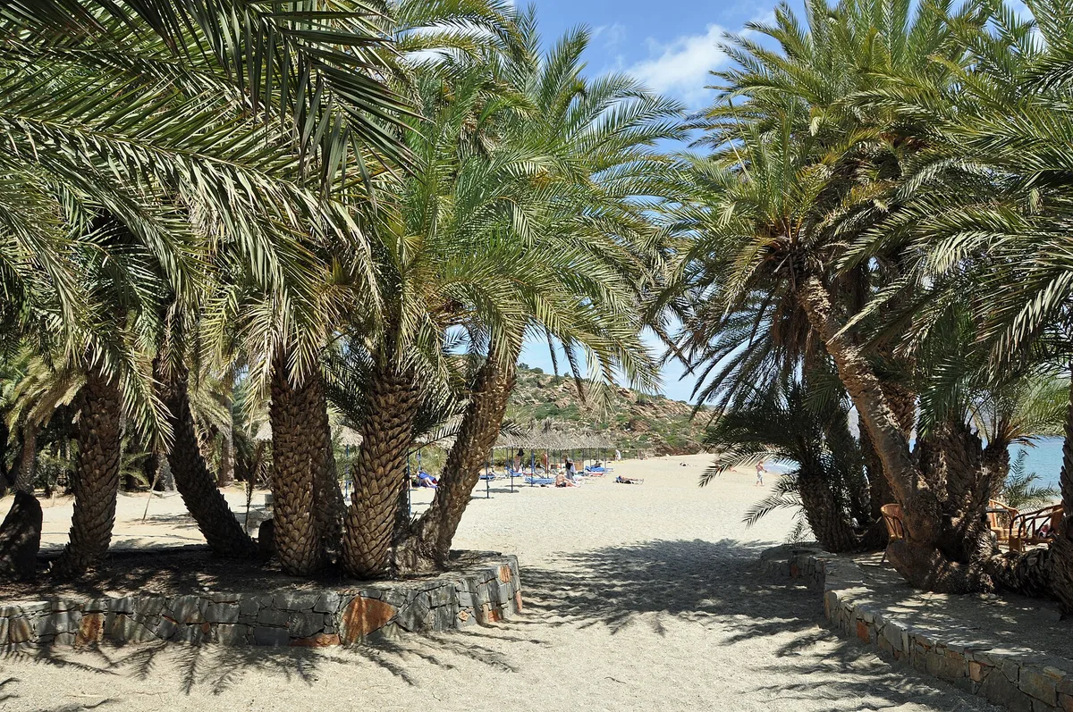 Plage de Vai, Siteia, Crete, Grèce — 2