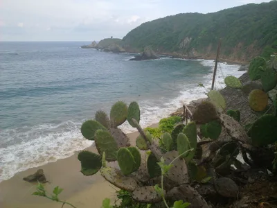 Mazunte Beach
