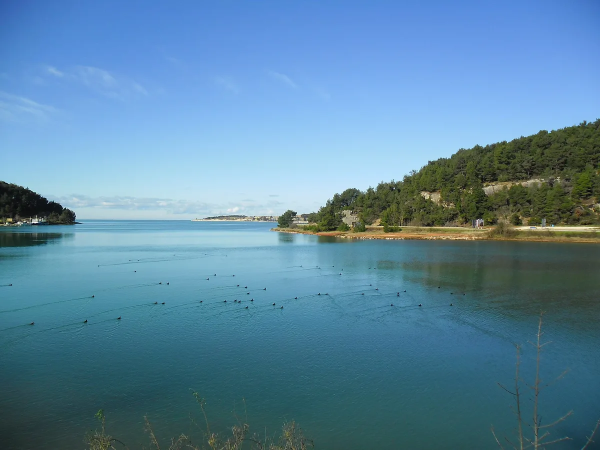 Plage de Tarska Vala, Tar-Vabriga, Istria, Croatie — 4