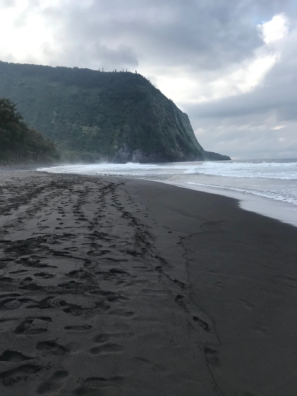 Plage de la Waipio Valley, Hawaii County, Hawaii, États-Unis — 5