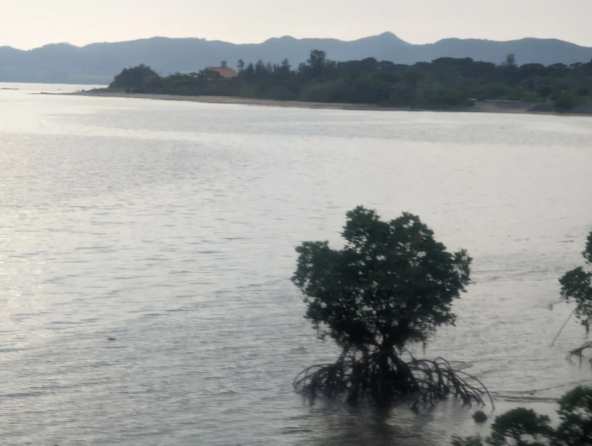 Nagura-Strand, Ryukyu Islands, Japan — 4