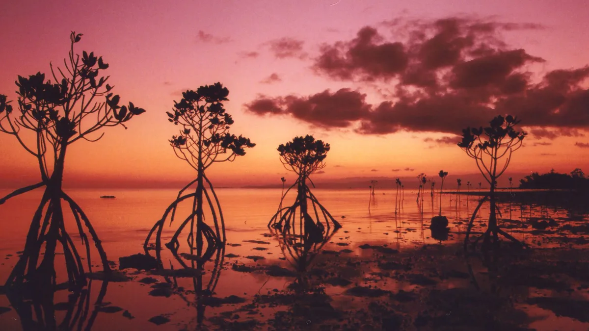 Nagura-Strand, Ryukyu Islands, Japan — 2