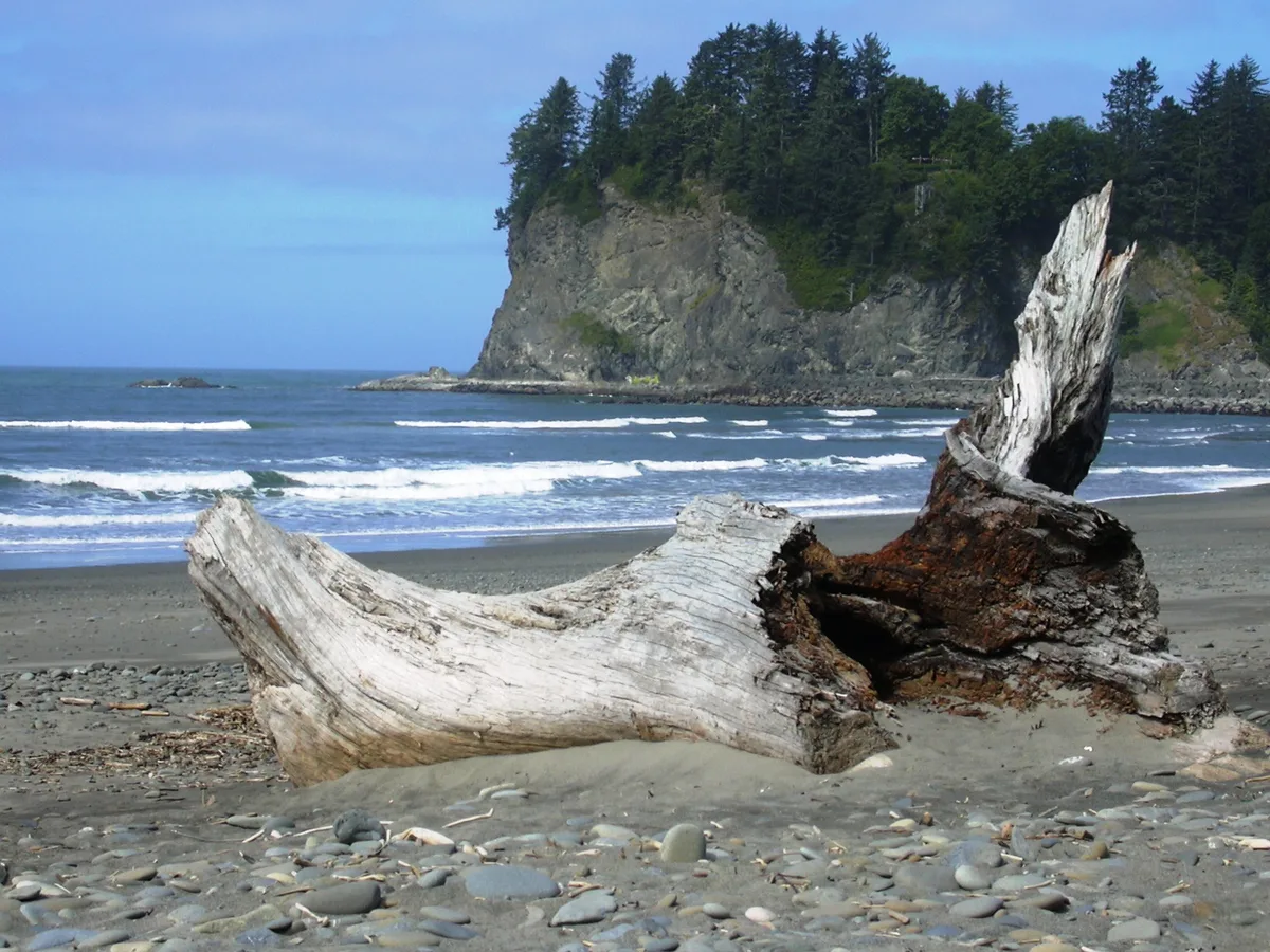 First Beach, Clallam County, Pacific Northwest, Verenigde Staten — 4