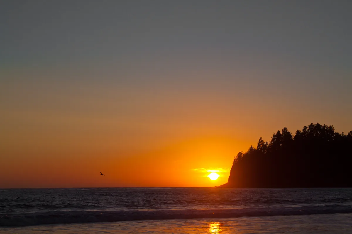 First Beach, Clallam County, Pacific Northwest, Verenigde Staten — 3